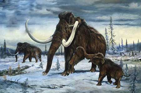 Mammoth (Clara Gregorio Barberan)